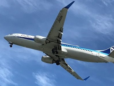 ANA特典航空券　国際線、国内線の空席状況が一目で分かる早見表が便利！