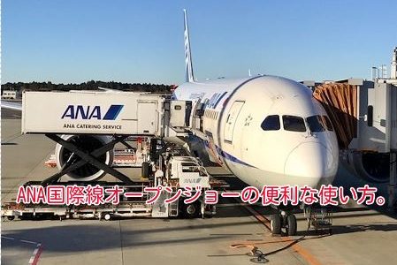 ANA特典航空券が取れない！空きがない！そんな時、オープンジョーなら取れるかも。