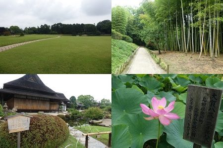 ANAクラウンプラザホテル岡山　SFCプランで宿泊しました