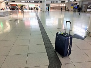 東京から名古屋へ。新幹線と飛行機はどっちがおすすめ？安さ便利さを比較