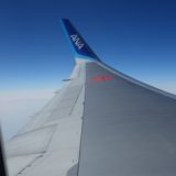 ANA機内から見たウイング