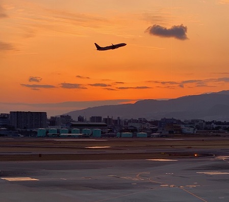 伊丹空港で見た飛行機