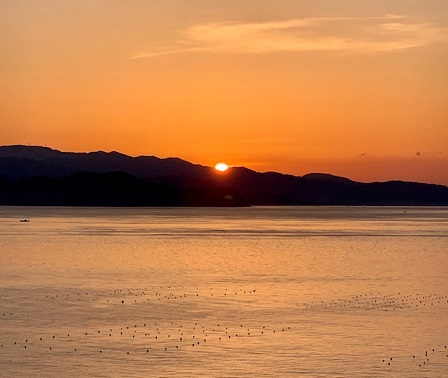 徳島の朝日