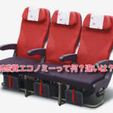 新感覚エコノミー