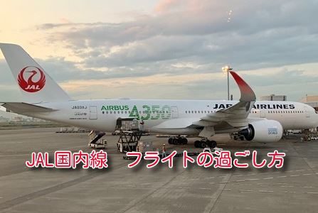 飛行機の過ごし方。2020年JAL国内線はこう楽しむ。
