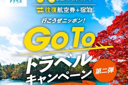 JALツアーとGo Toのコラボがおすすめ！航空券がこんなに安くなる。