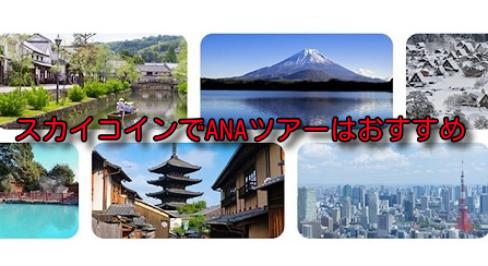 コロナで期限が延長になったANAスカイコイン。どう使うのが良い？