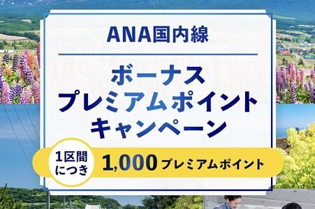 ANAボーナスプレミアムポイントキャンペーンが来た！実質回数修行が爆誕。