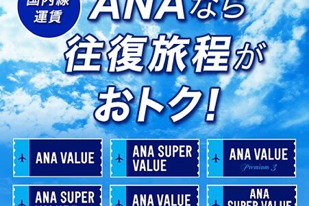 ANA国内線、6月から往復割引スタート。果たして、お得なのか。注意点まとめ。