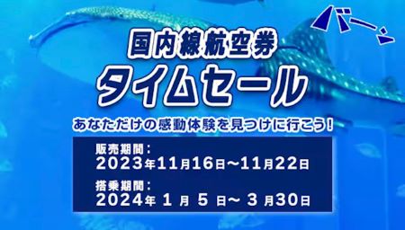 ANA国内線タイムセールが11/16～22まで開催中！1～3月搭乗分が対象。3月はおすすめ！