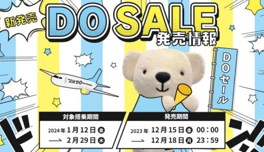 エアドゥが全路線5,000円の衝撃セール実施。12/15から4日間。雪の遅延・欠航には注意。