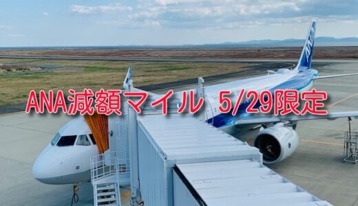 29日だけのANA国内線減額マイル実施！2900マイルから発券可。