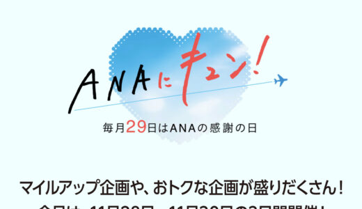ANAキュンで国内線プレミアムクラスのセール実施