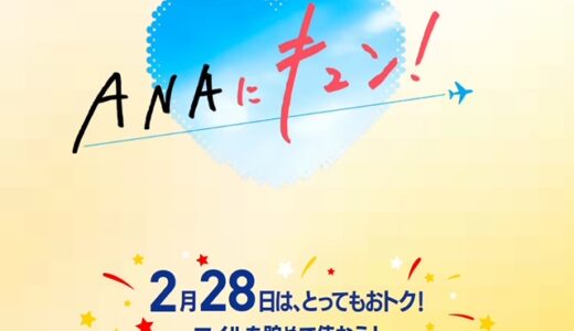 ANAキュンでGW対象の国内線セール実施！2月28日限定